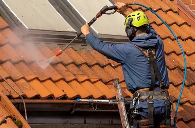 Démoussage et hydrofuge de toiture à Bougon